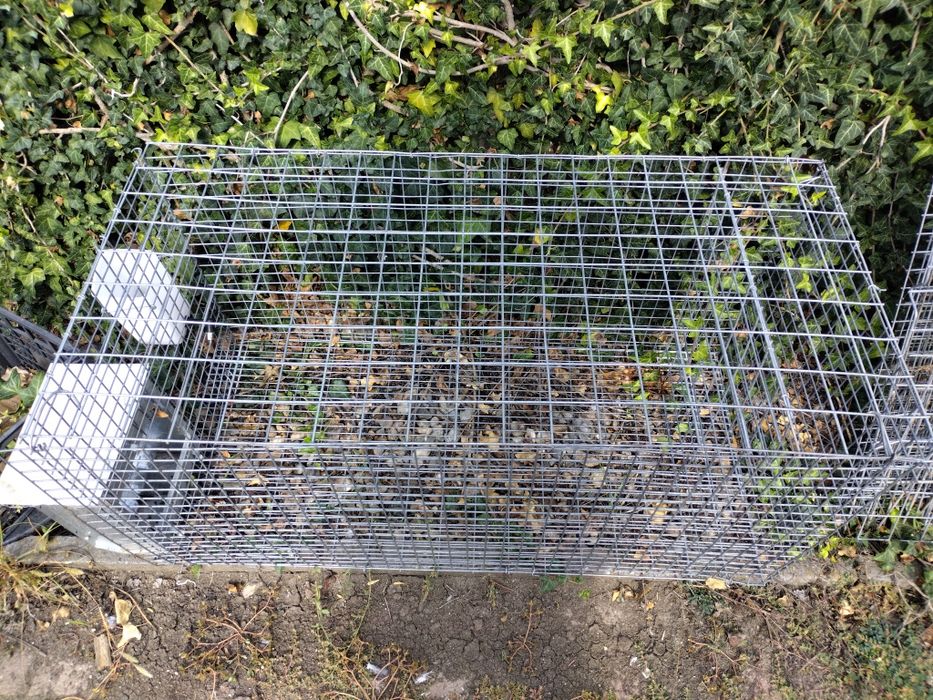 Vând cușcă iepuri