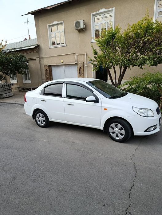 Некция 3 2019 йил