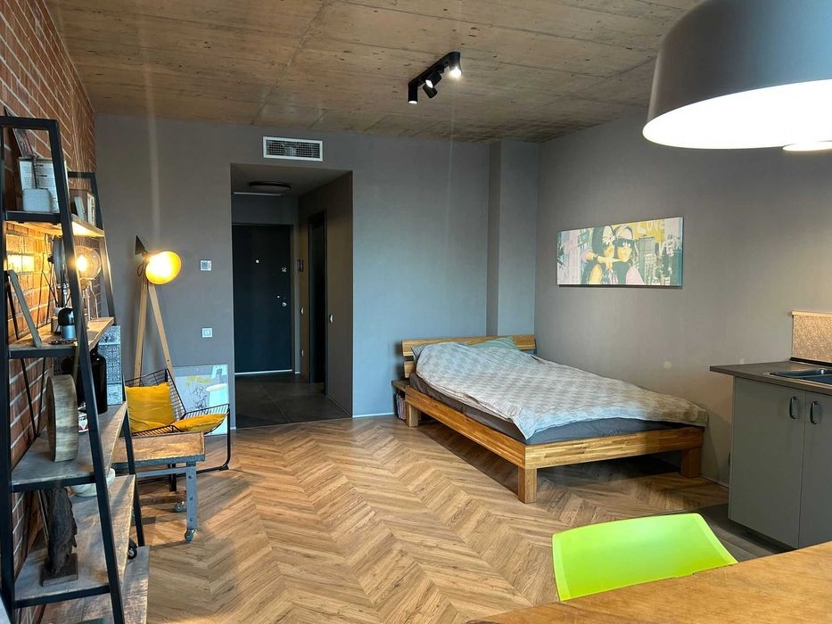 Studio spațios și elegant Mogoșoaia