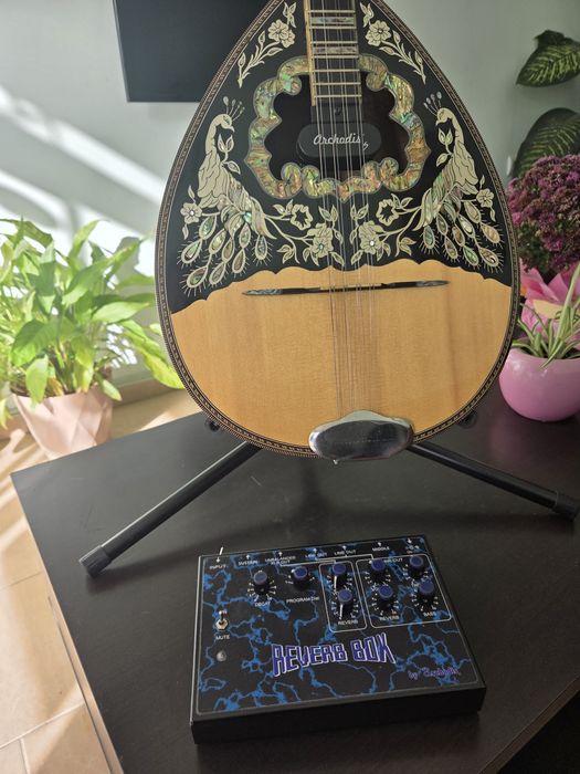 Reverb box Бузуки