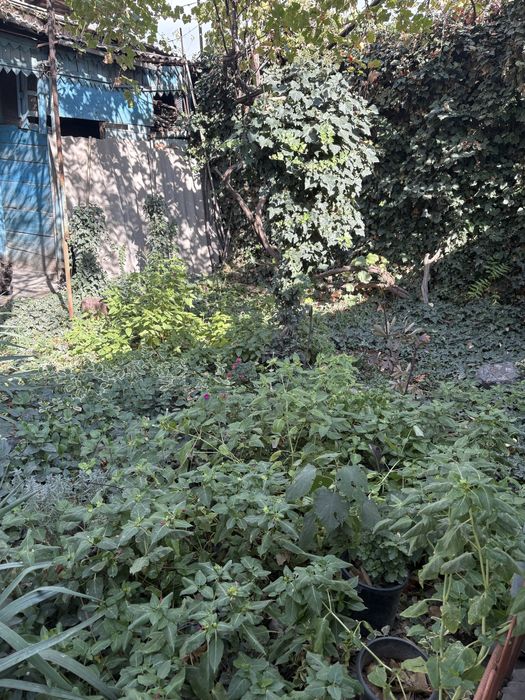 Аккуратный дом 1,6 соток! Тезикова- дача!