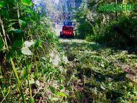 Defrisare cosire si curatare teren de iarba arbusti ambrozie copaci
