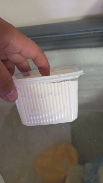 Домашний сметана 100% чисто и свежий