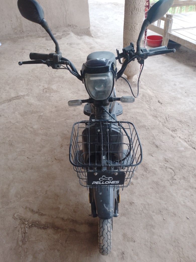 Suqutr moto 2024