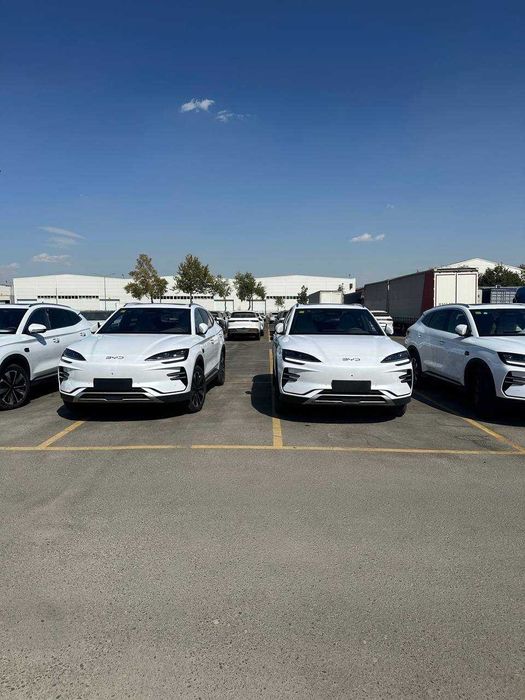 BYD Song Plus Champion 520 Flagship (Tayyor/V nalichie)