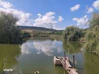 Livada cu cabana si lac (12.ooo mp) la Dostat