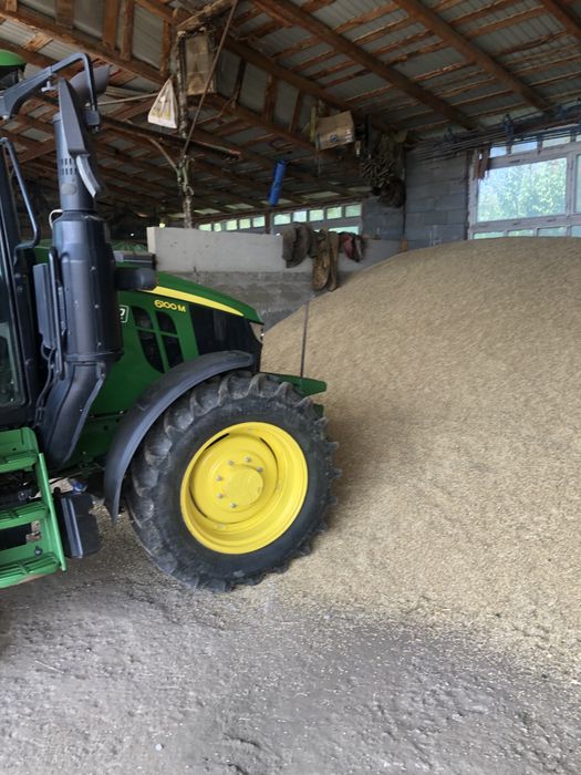 Orz 2025 Sauca curat bun de samanta