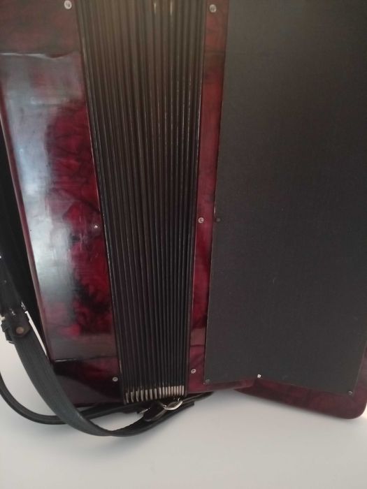 acordeon hohner 120 basi