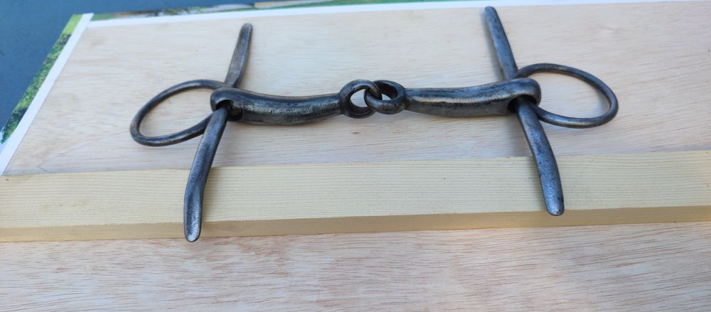 Zăbala cal, echitație