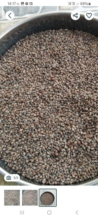 Гроздови семки. Добре изчистени. Добър антиоксидант