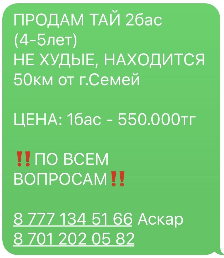 ПРОДАМ ТАЙ 2бас (4-5лет) құлынымен