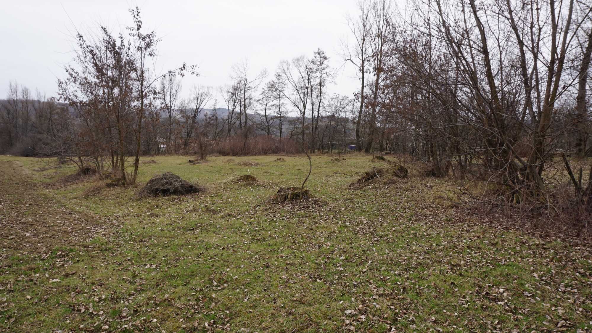 Teren intravilan Susenii Bargaului