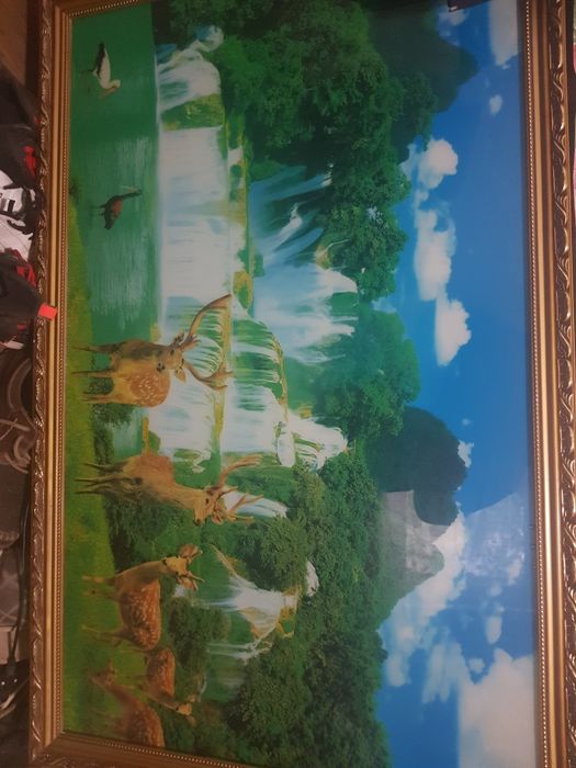 200 Lei. Tablou cu lumina si melodii , apa de izvor. La 220 volti.