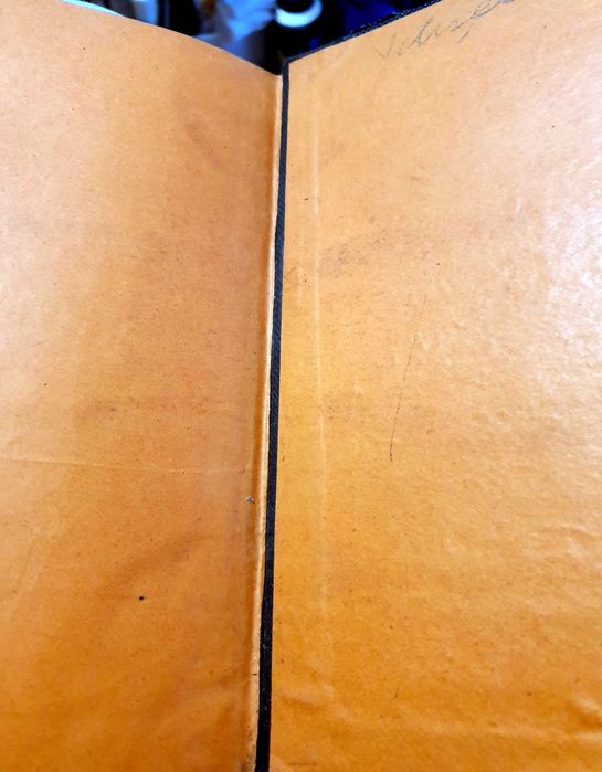 Rasboiul nostru pentru Neatirnare, de George Cosbuc , 1899