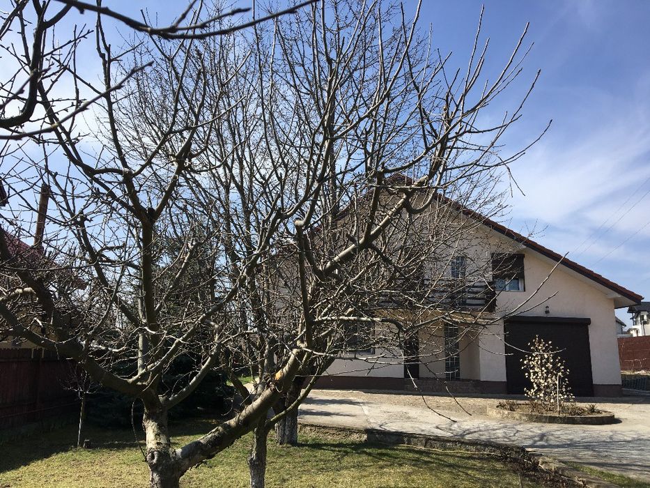 PF Casă renovată 2024, panouri solare, teren 2100 mp, Lunca Cetatuii.