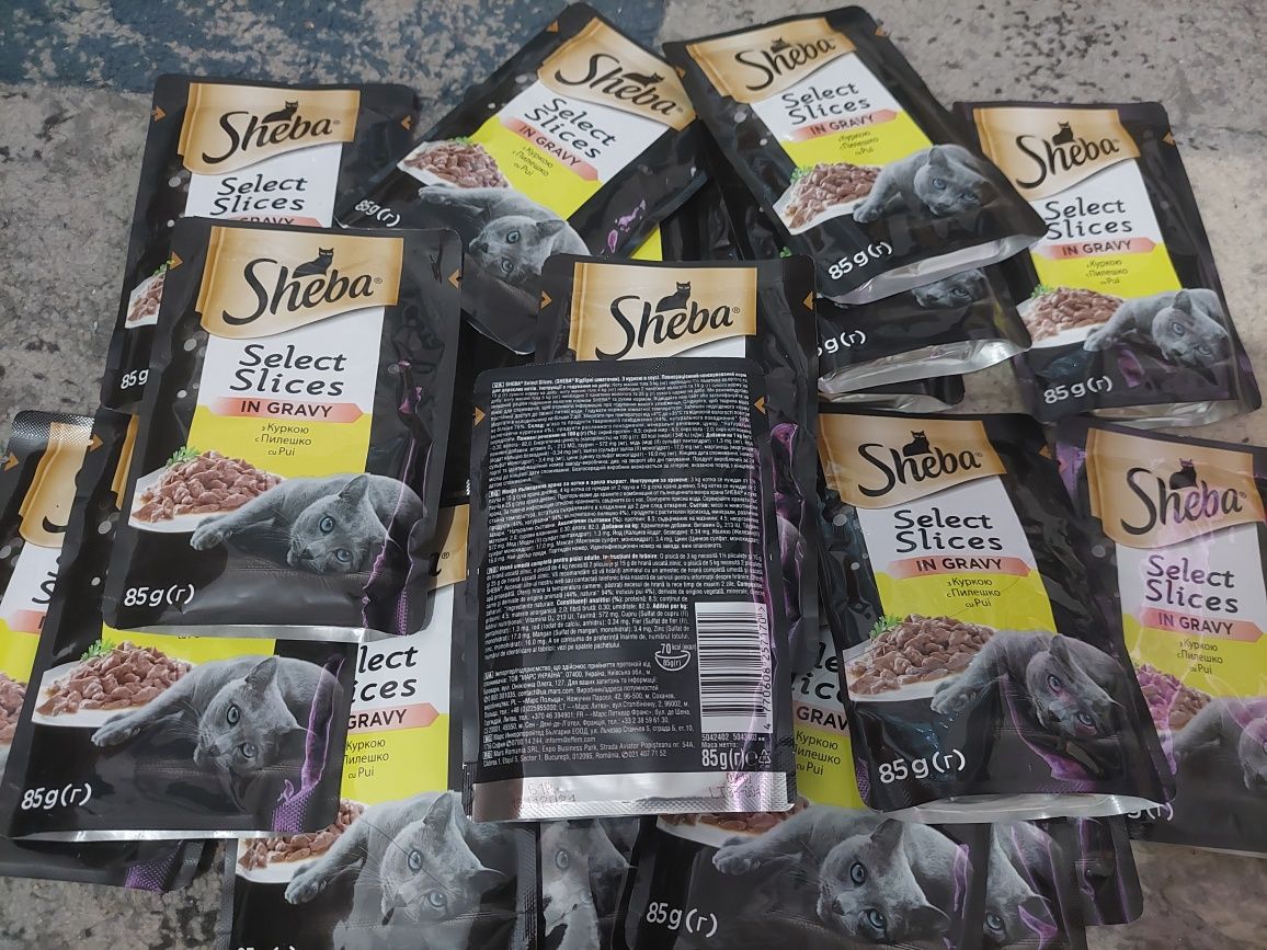 mâncare pisici/ câini, purina,sheba,pedigree

purina  15 pateu+9 pește