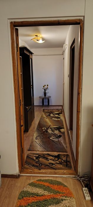 Garsoniera mansarda Ostroveni