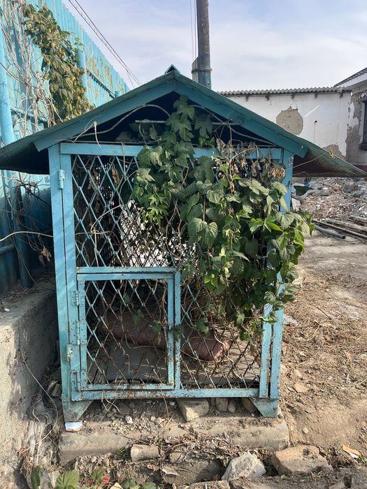 Будка для собаки( вальер)