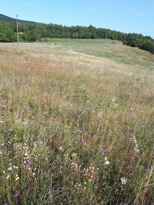 Vand teren comuna Halmășd, cătunul Fufez