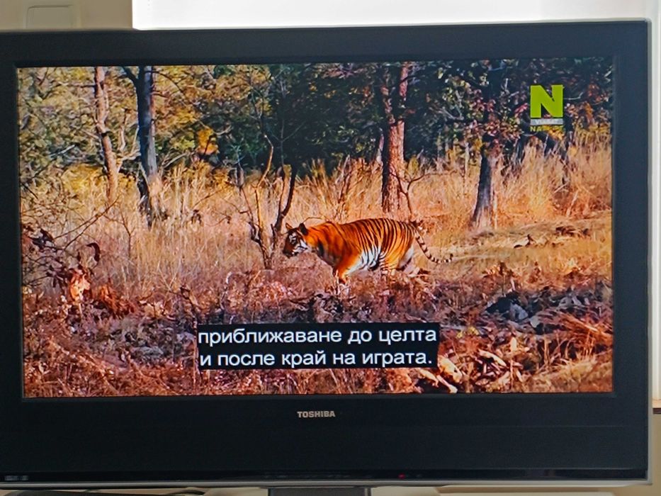 Телевизор Toshiba 32wl66z  32"