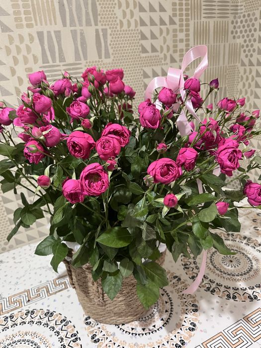 Продам цветы в корзине