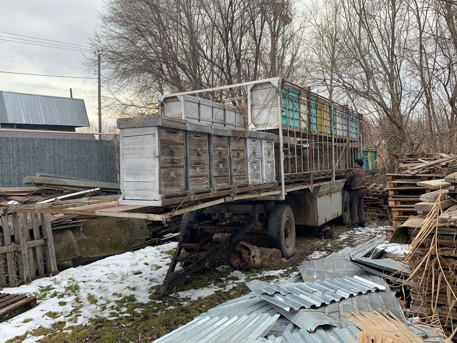 Продам пчёла прицеп