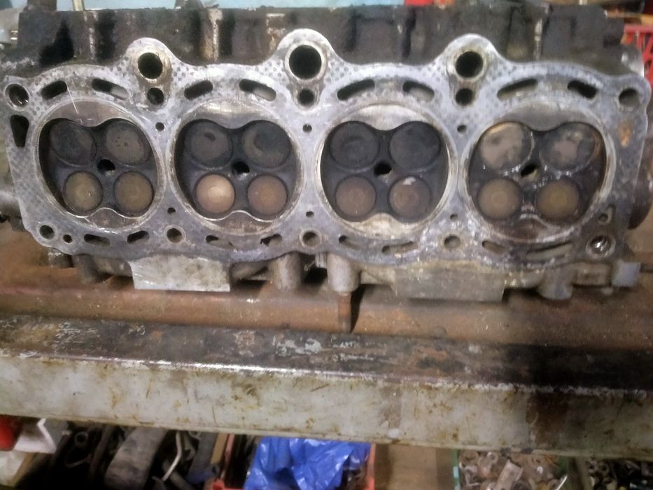 Голова таета карина Е  V2л