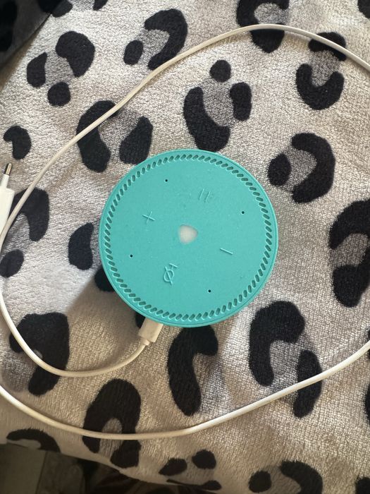 Продается алиса