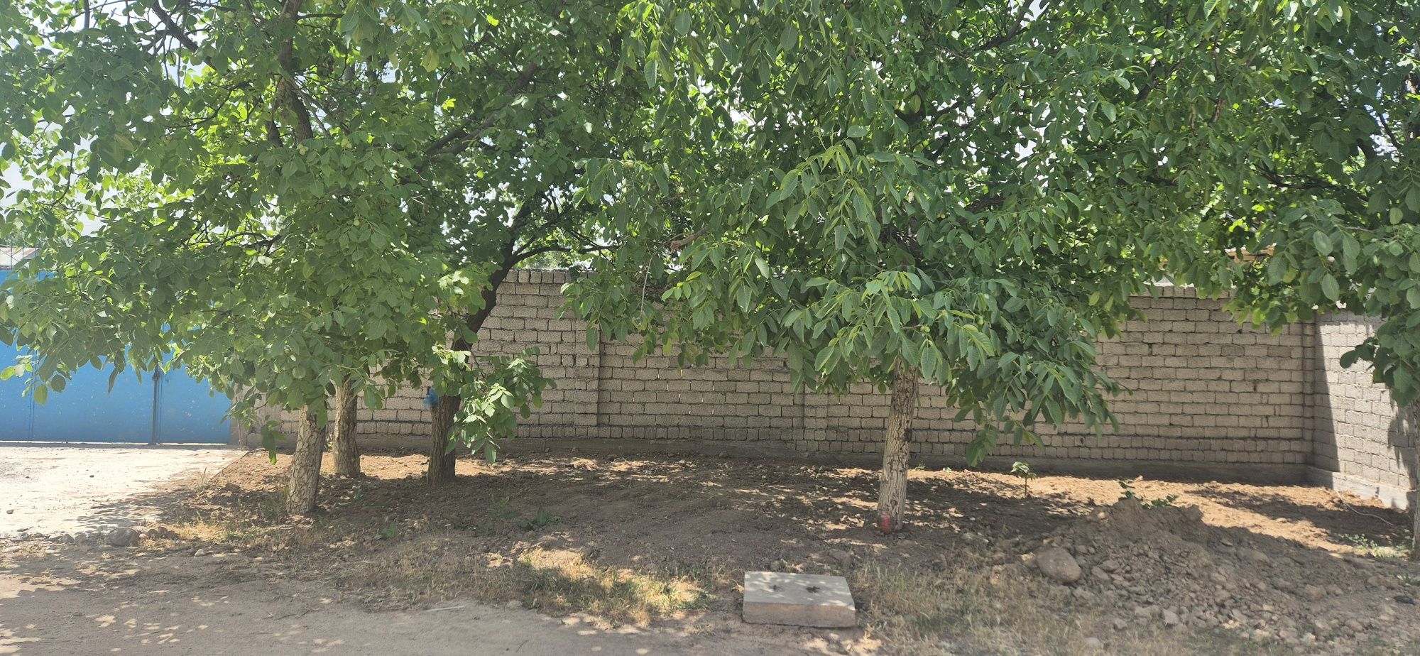 Дача учун ер учаскаси сотилади
