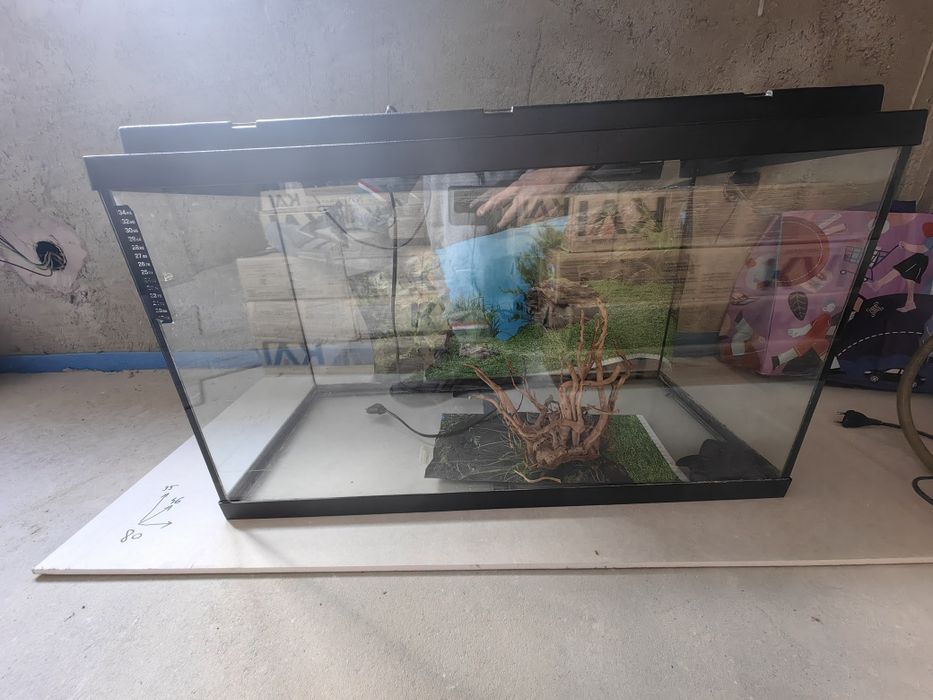 Acvariu pentru pesti