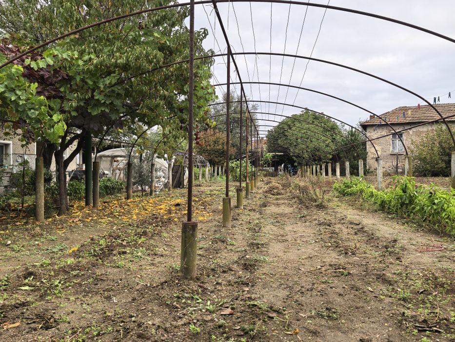 Оранжерия 28 метра