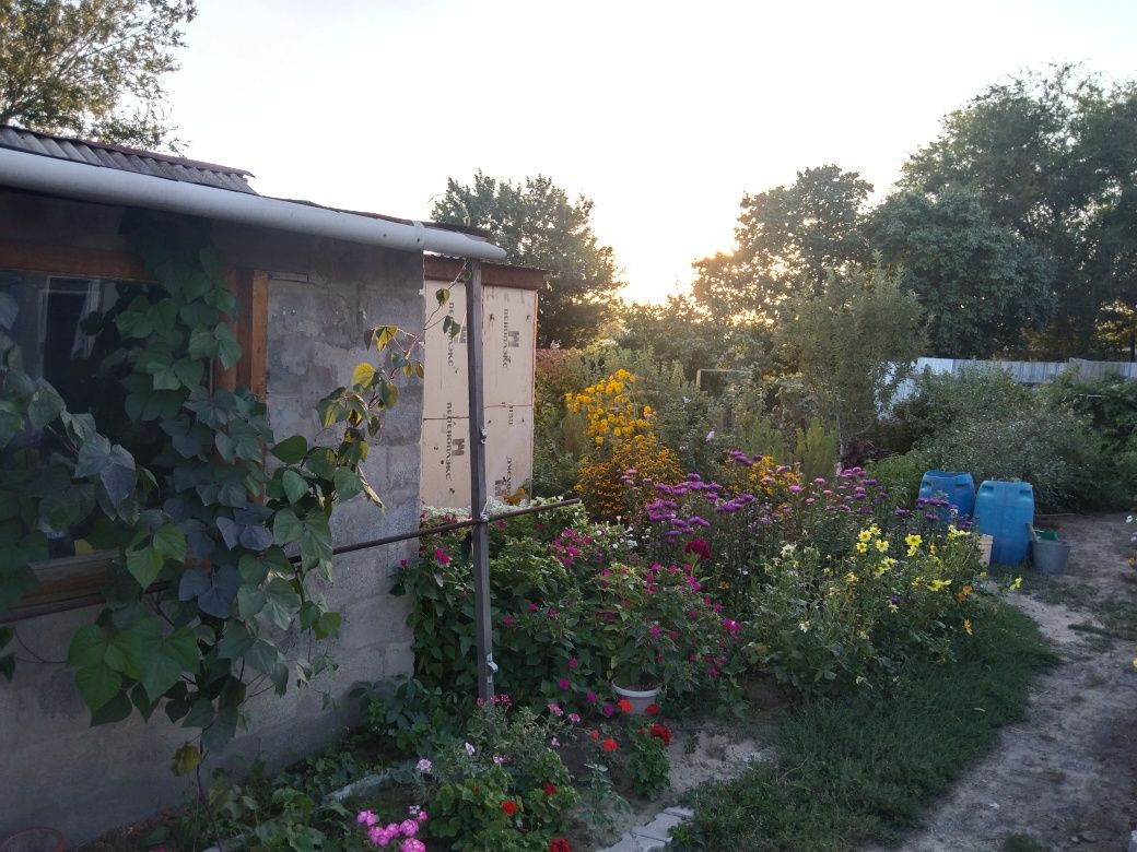 Продам дом-дачу срочно!!!