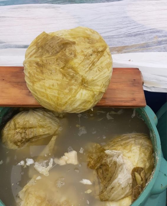 Varza murata de vanzare