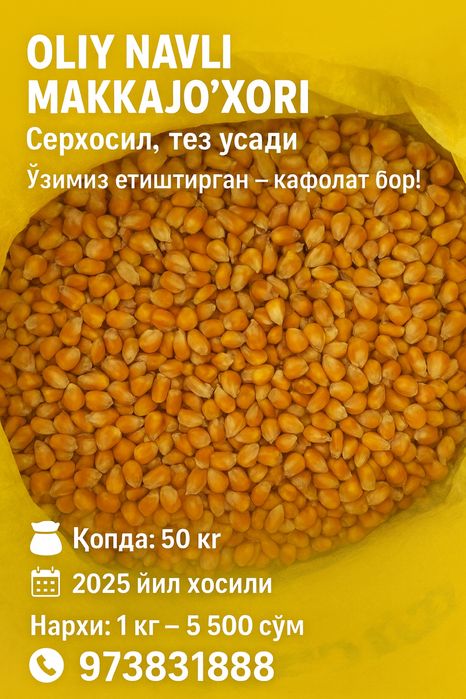 MAKKАJO‘XORI doni sotiladi