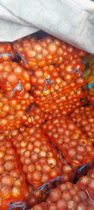 Ceapa galbena si ceapa rosie