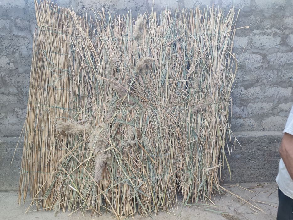 Камич станок, Мат ва мата станок.