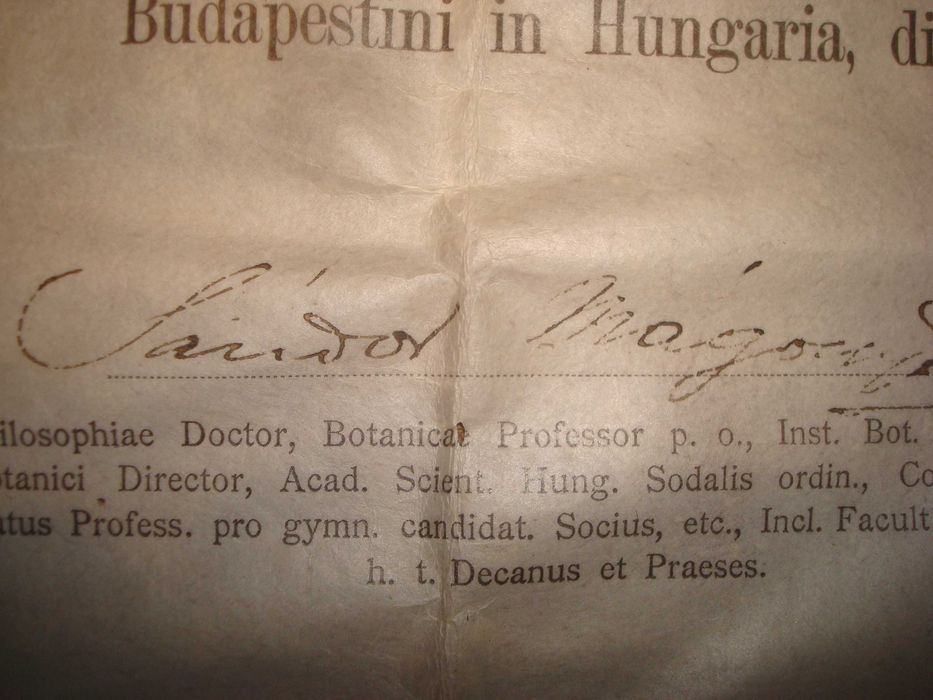 Diploma medicina-farmacie-Universitatea Budapesta- Austro Ungar-1913