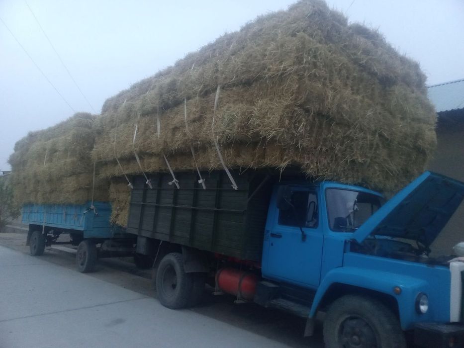 Gaz 53 bortli texnika