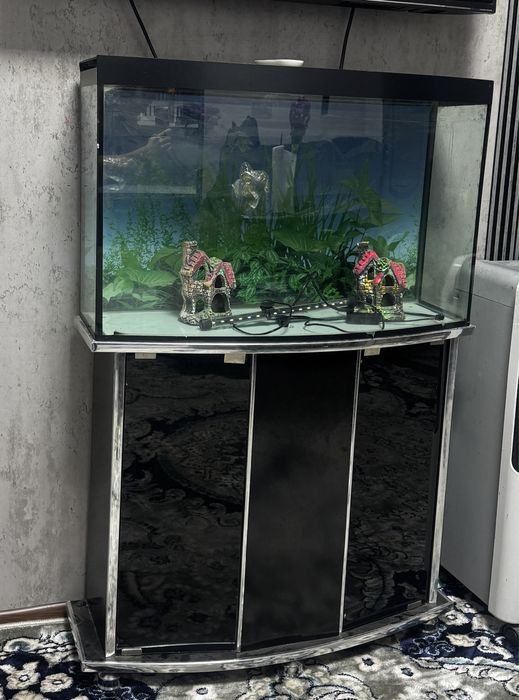 акварюм яхши холатда ишлаб турипти филтирлари блан