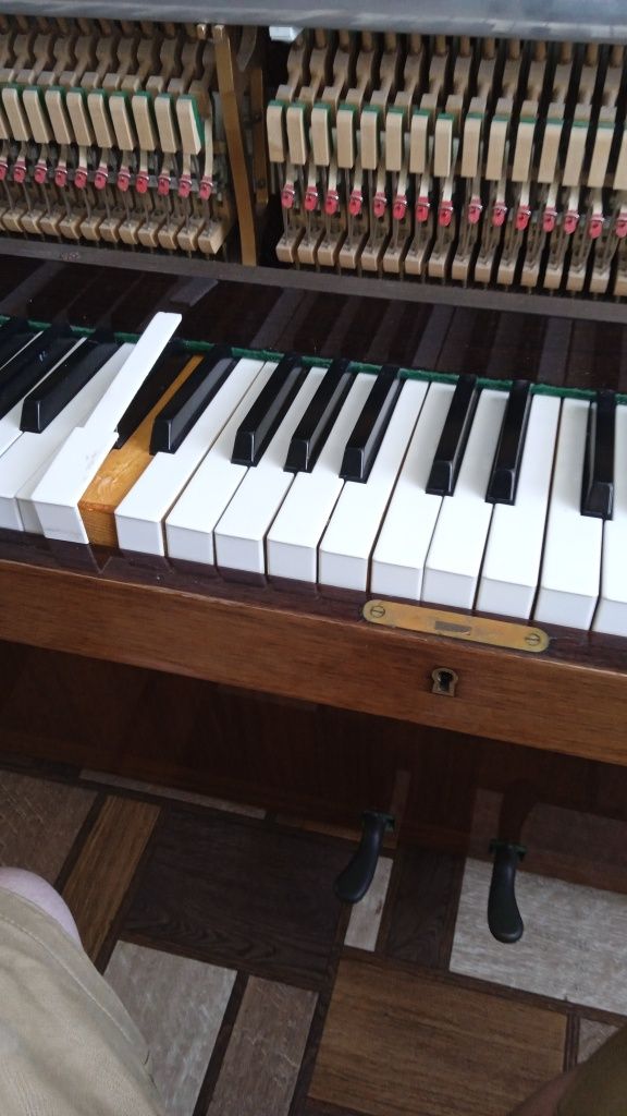 Реставрация, настройка и ремонт фортепиано.