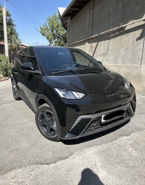 Byd seagull 2023 full