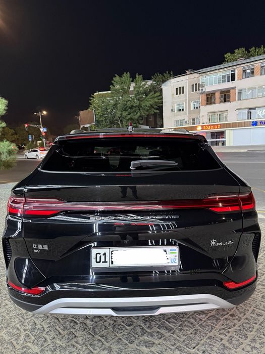 Byd champion honor 2024