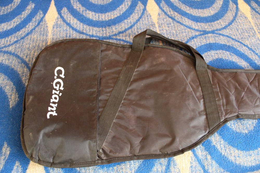 Електрическа китара   „C.Gian“