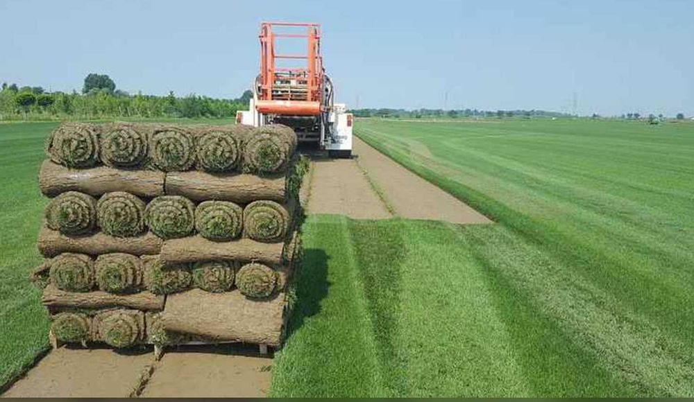 Gazon Rulou sisteme de Irigare