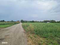 Teren Lunca Calnicului 4400 mp,front stradal 58 ml.