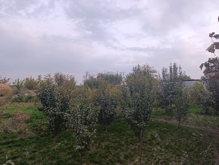 Тайёр участка сотилади