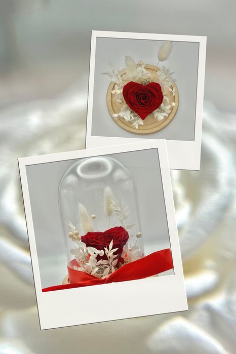 Trandafir criogenat inima in cupola