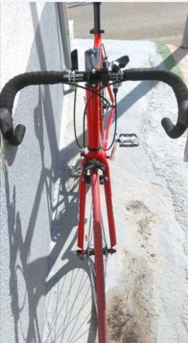 Toza germanskiy gonchik