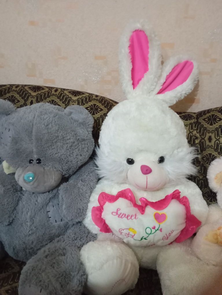 Teddy Ayiqchalar Sotiladi