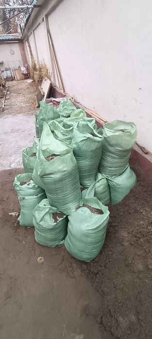 Qum bervoramz tekinga